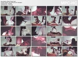 Forumophilia PORN FORUM The Classic Loops S Video S Page