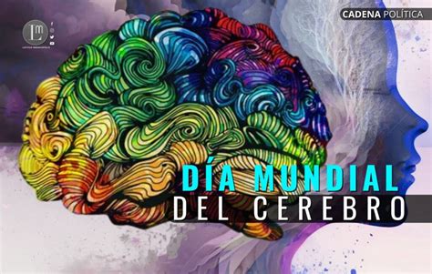 DÍA MUNDIAL DEL CEREBRO Latitud Megalópolis