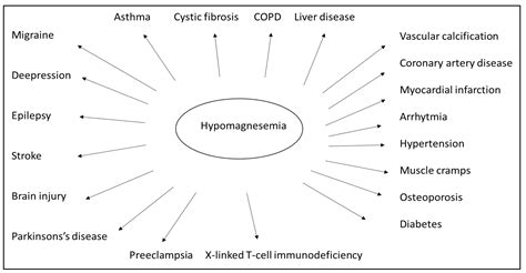 Metabolites Free Full Text Hypomagnesemia As A Risk Factor And Accelerator For Vascular