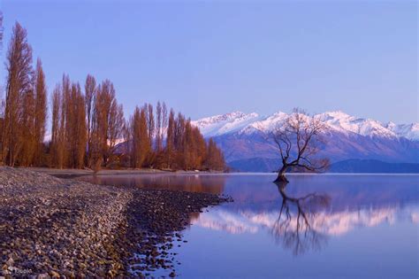 Private Day Tour From Queenstown Klook Australia