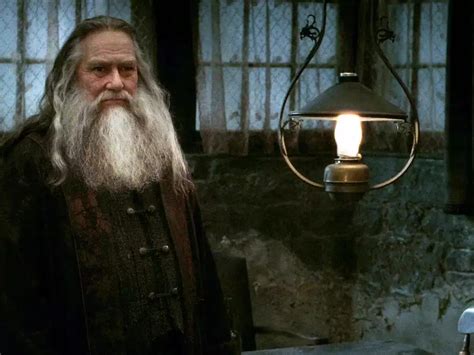 Ciar N Hinds Played Aberforth Dumbledore Albus Brother In The Final