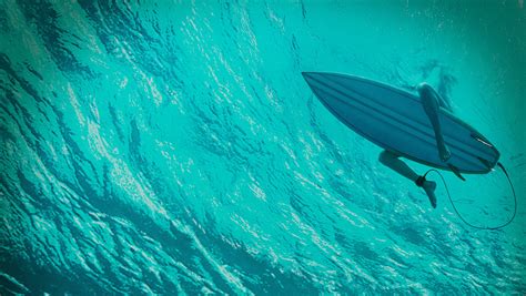 Movie Review: 'The Shallows' (2016) — Eclectic Pop