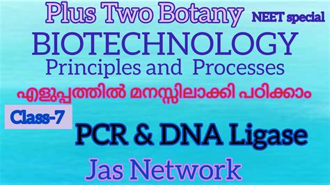 Biotechnology Class 7 Pcr Polymerase Chain Reaction Plus Two