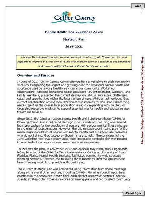 Mental Health And Addiction Services Five Year Strategic Plan 2020 2024