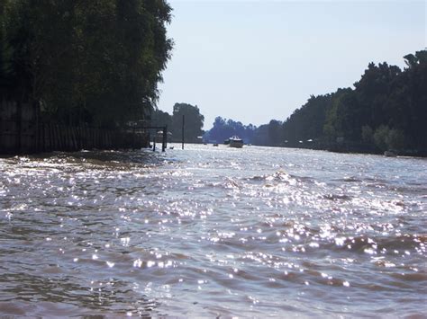 Foto De Tigre Buenos Aires Argentina