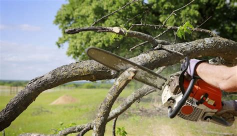 Excess Liability Insurance For Tree Servicers Explained Treepro Insurance