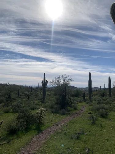 Best Moderate Trails In Superstition Area Land Trust Alltrails