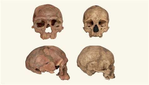 Descobertos os mais antigos fósseis de Homo sapiens que mudam tudo o