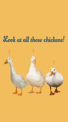 Look At All Those Chickens Background - 539x960 Wallpaper - teahub.io