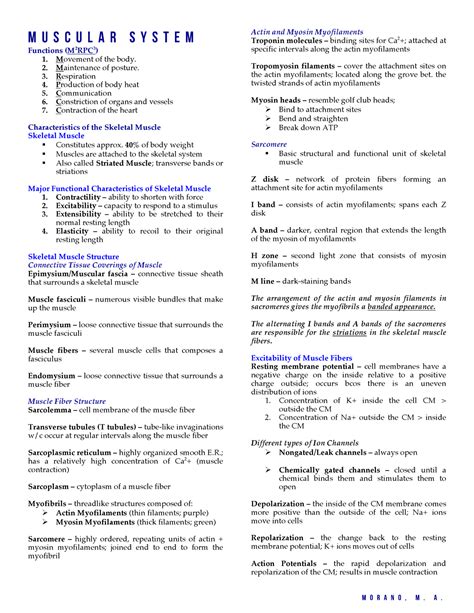 Muscular System Lecture Notes From Seeley S Anatomy And Physiology