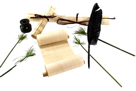 Papyrus Rolls With Pen Leaves Stationery Decorative Cyperus Png