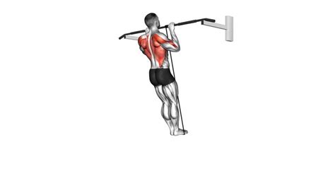 Band Assisted Pull Up Version Video Exercise Guide Tips In