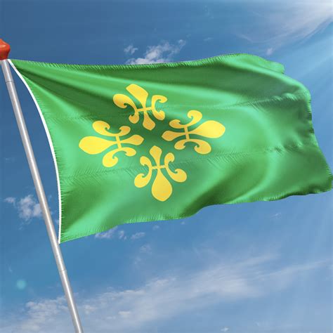 Vlag Gemeente Midden Drenthe Kopen Snelle Levering 8 7