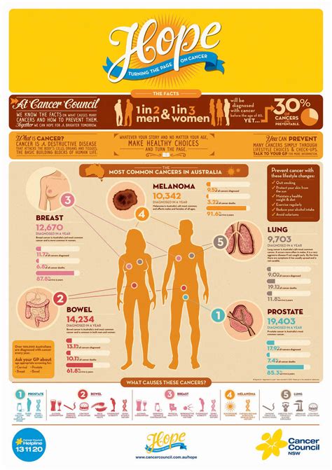 Cancer Council Infographic • Ads Of The World™ Part Of The Clio Network