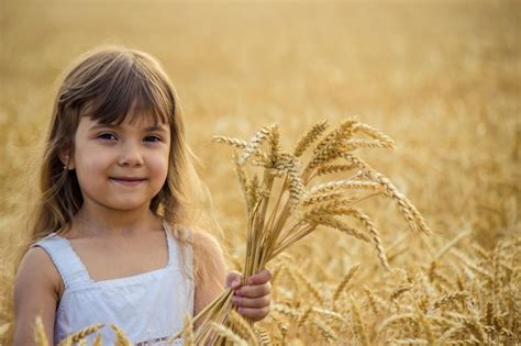 Criança em um foco seletivo de campo de trigo Foto Premium