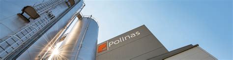 Polinas