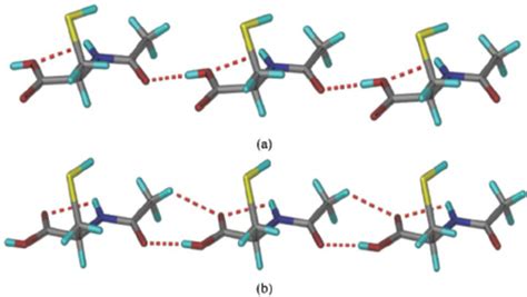 Oh O Hydrogen Bond Catemer In The Nac Polymorphs Between A Cooh