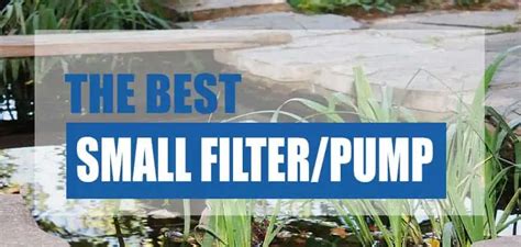 Best Small Pond Filter and Pump 2024 (Reviews & Costs) - Pond Informer