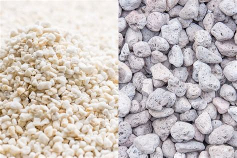 Factors That Help Distinguish Between Perlite Vs Pumice