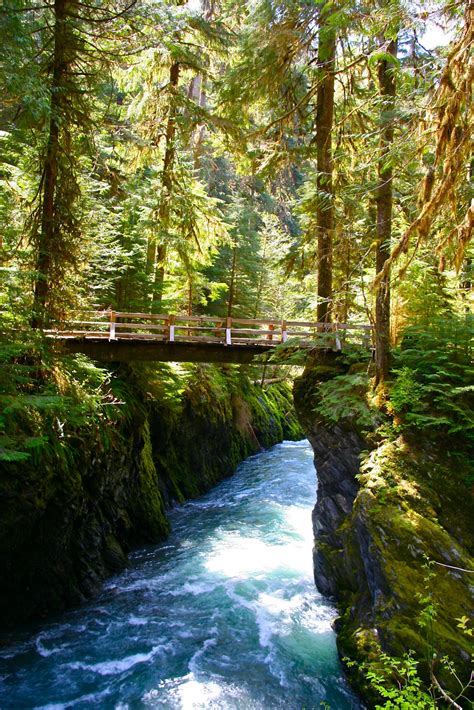 Olympic Peninsula Hikes Guides And Updates Shades Of Grey A Fall