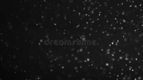 Night Snowfall Blizzard Storm Flying Dust Particle Stock Illustration