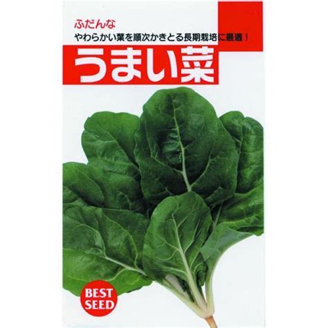 うまいな その他葉菜類の種 小袋 約40ml 野菜の種 2247113菜園くらぶ Yahoo店 通販 Yahoo