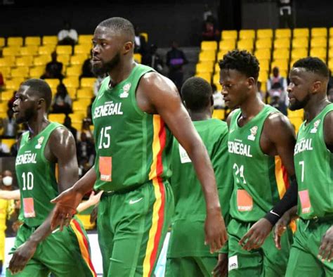 Basket Eliminatoires Coupe Du Monde Les Lions Face Au Soudan