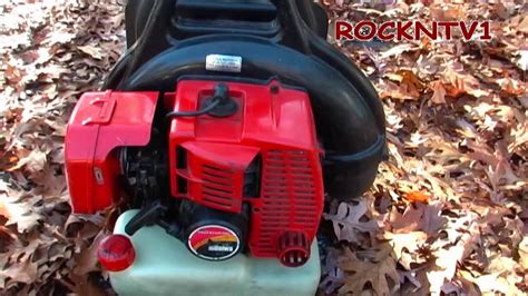 Backpack Leaf Blower Shindaiwa Eb Blowing Leaves Youtube