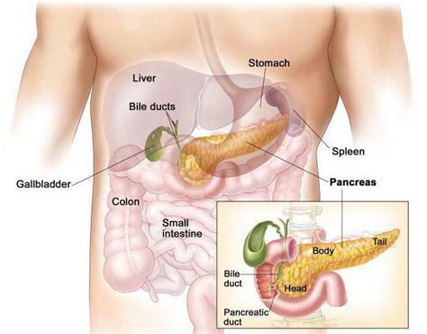 Diagn Stico Diferencial Da Pancreatite Pancreatite Cr Nica