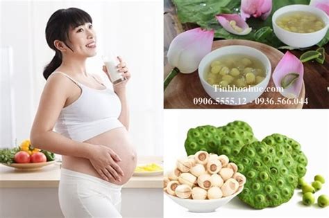 Hạt Sen Tịnh Tâm Đặc Sản Huế Tinh Hoa Huế