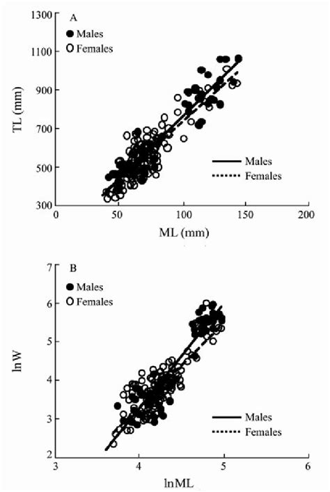 Relationships Between Mantle Length Ml Mm With A Total Length Tl Download Scientific