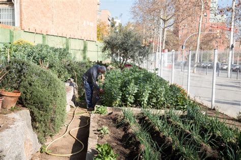 Bcn Ecologiaurbana Twitteriss Fem Un Nou Concurs Per Atorgar La