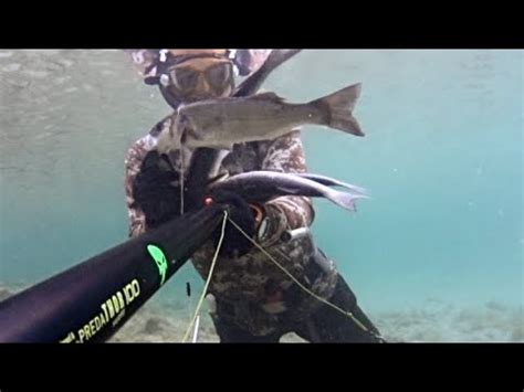 Pescasub Tiri Pesci Spearfishing Youtube