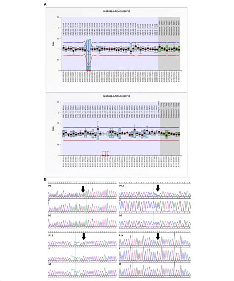 Confirmation Of SNP Array Or WES Results A The MLPA Results Of