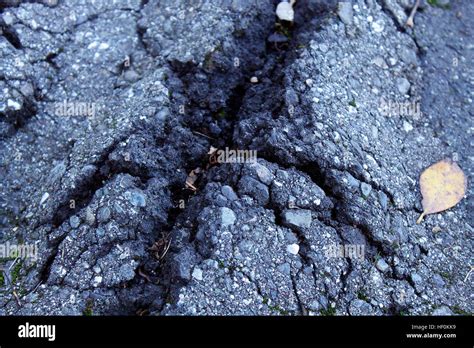 Close Up Of A Crack In The Asphalt Sidewalk From Tree Roots Stock Photo