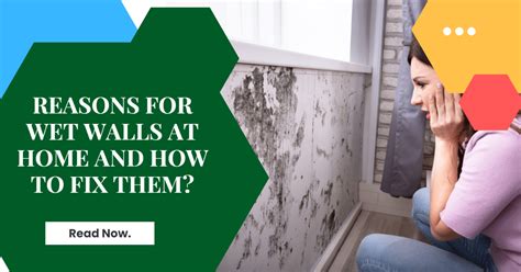 What Causes Damp Walls In House And How To Dry Them