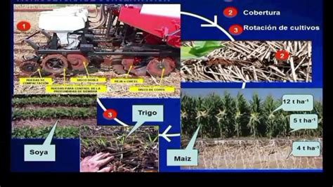 Agricultura de Conservación una práctica innovadora con beneficios