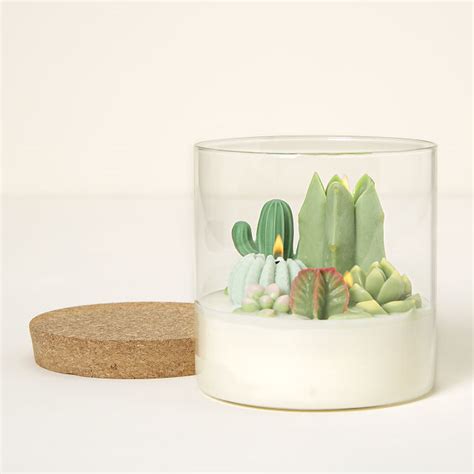 Uncommon Goods Terrarium Candle Cactus Candle Cool Candles