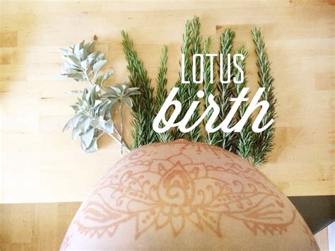 Home In The Hive: Lotus Birth