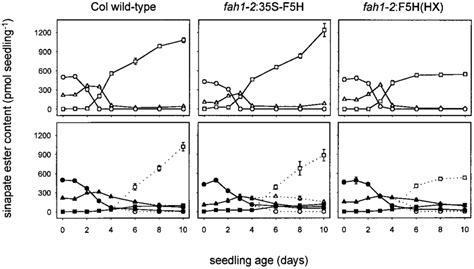 Accumulation Of Sinapate Esters In Wild Type And Transgenic Fah1