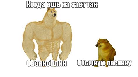 Создать мем "doge качок, мем собака качок, накаченная собака мем ...