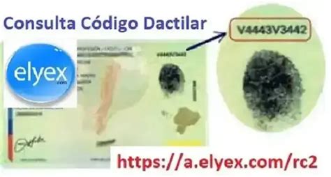 Dónde consultar código dactilar de la cédula Ecuador gucyi