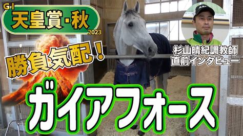 【天皇賞・秋2023】ガイアフォース・杉山晴紀調教師「相手が強くなればなるほど、言い換えれば時計が速くなればなるほど、この馬の良さが生きてくる