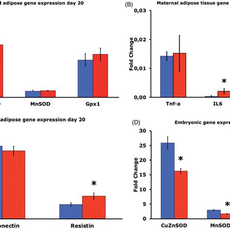 A Gene Expression Of CuZnSOD MnSOD And Gpx1 In Adipose Tissue Of