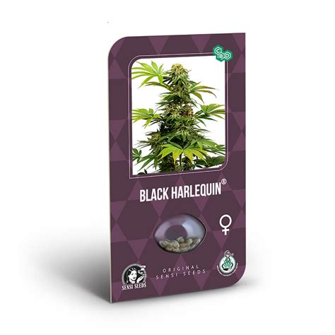 Semillas De Cbd Black Harlequin Venta Al Por Mayor Sensitive Cbd