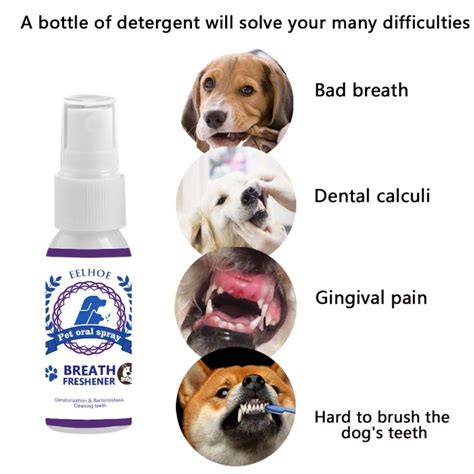 Spray D Sodorisant Pour Animaux De Compagnie Ml Nettoyage Des Dents