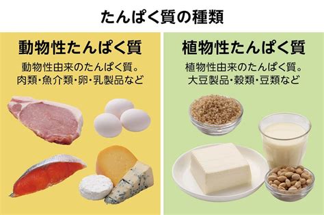 たんぱく質とは？効果やメリット、摂取量、たんぱく質が多い食材を紹介 キッコーマン ホームページ