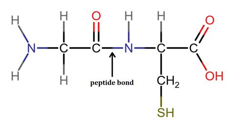 Write structural formulas for the following molecules: \ a. | Quizlet