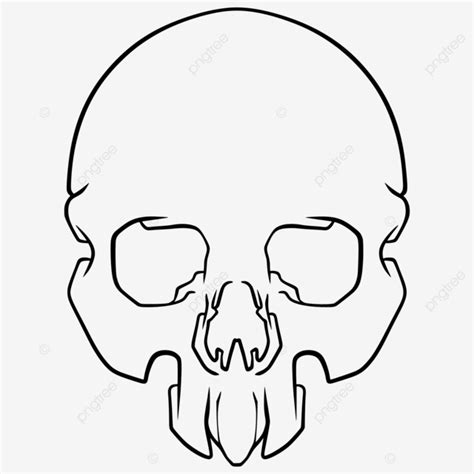 Skull Head Vector Design Images, Skull Head Art Line Vector, Skull, Art ...