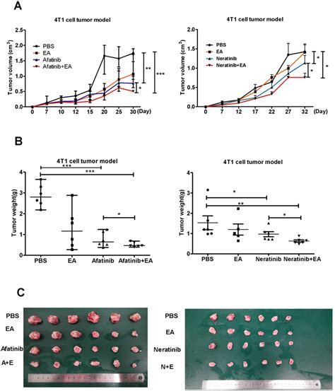 Combination Of Tkis With Ea Suppressed Tumor Growth In Vivo A The